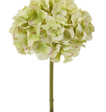 Hydrangea 18.5” - Light Green
