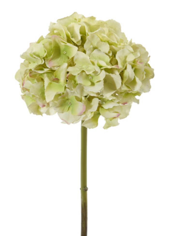 Hydrangea 18.5” - Light Green