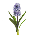 Hyacinth w/Leaves 14'' (Blue/Purple)