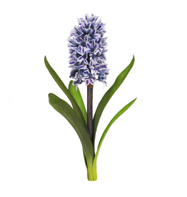 Hyacinth w/Leaves 14'' (Blue/Purple)