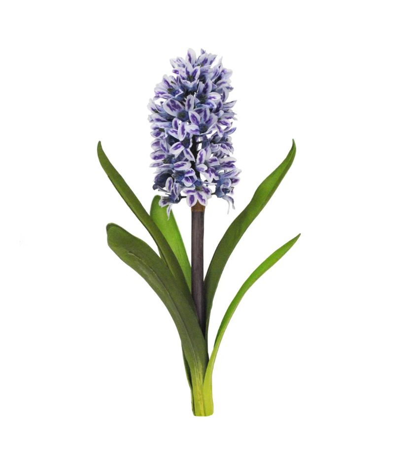 Hyacinth w/Leaves 14'' (Blue/Purple)