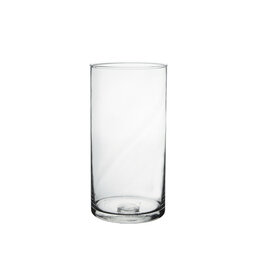 Glass Cylinder 6"x10"