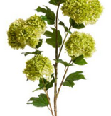 46" Snowball Spray (Green)