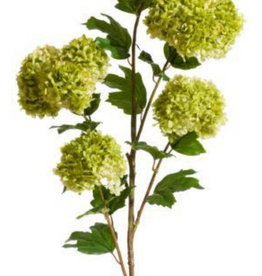 46" Snowball Spray (Green)