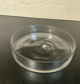 Glass Cylinder 12”x2”