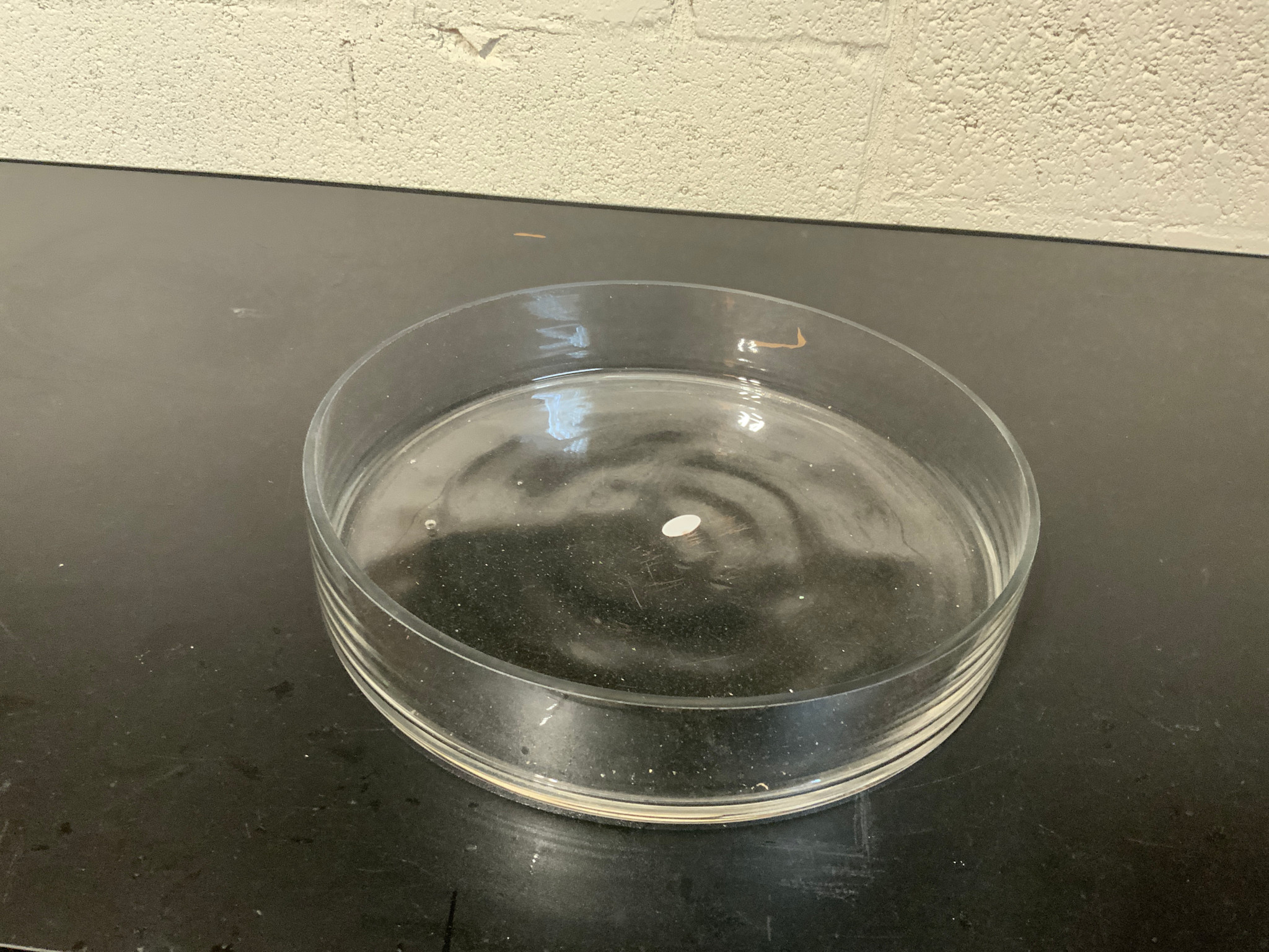 Glass Cylinder 12”x2”