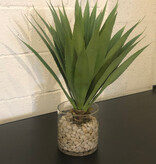 Aloe in 6" Cylinder-Faux Water/Stones (Green)