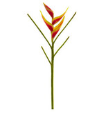 26" Mini Heliconia