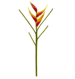 26" Mini Heliconia