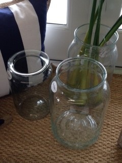Clear Bottle Vase 6D x 11 1/2H