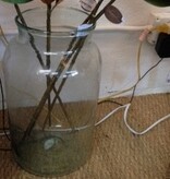 Clear Bottle Vase 10D x 21 1/2H