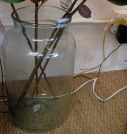 Clear Bottle Vase 10D x 21 1/2H