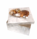 White Capiz Box 6" x 6"