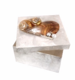 White Capiz Box 6" x 6"