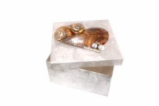 White Capiz Box 6" x 6"