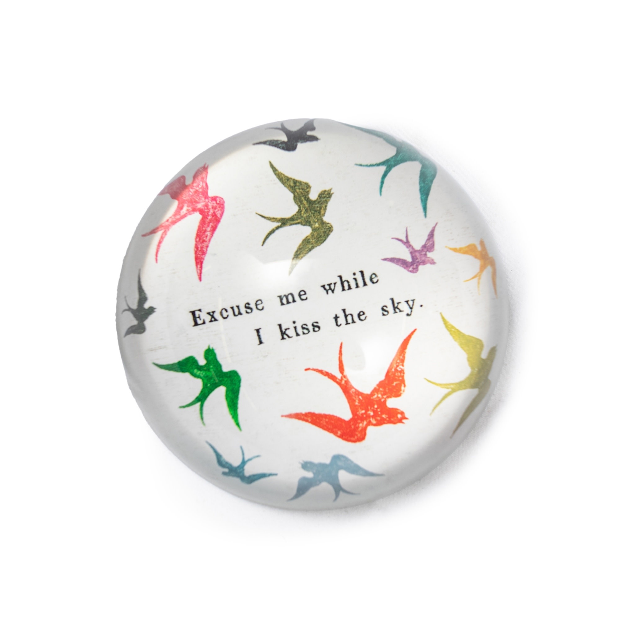 Excuse Me While I Kiss the Sky Paperweight- 4"
