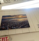 She Shells Photog. on Metal 24" x 36"
