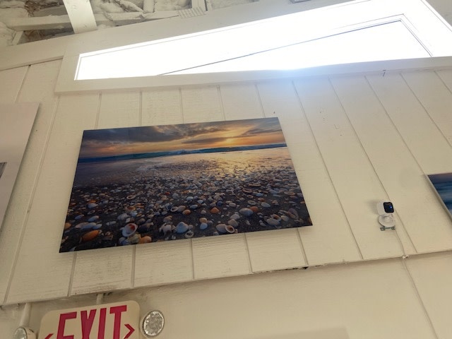 She Shells Photog. on Metal 24" x 36"