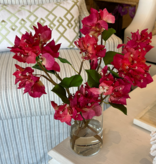 Bougainvillea in 6" Cylinder-Faux Water (Fuscia)