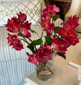 Bougainvillea in 6" Cylinder-Faux Water (Fuscia)