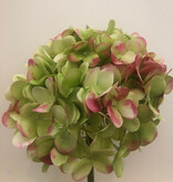 19" Hydrangea-ABGR
