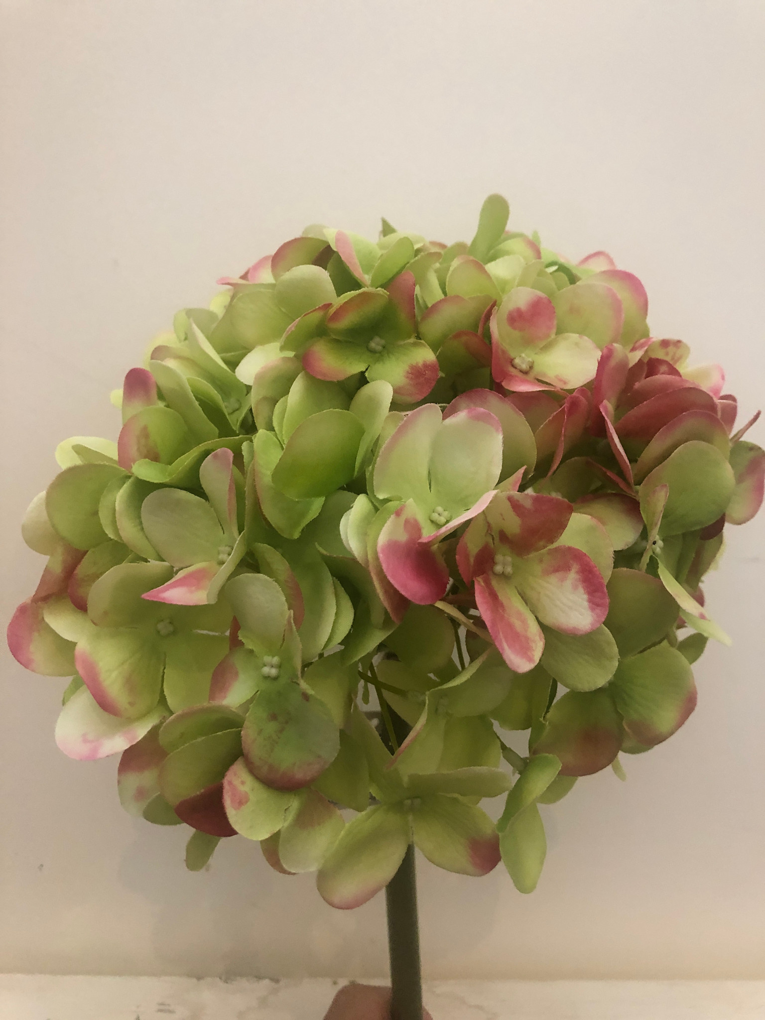 19" Hydrangea-ABGR