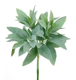 Salvia Miller Bundle X3 13''