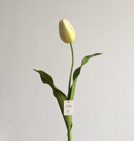 Dutch Tulip 22.5” -Yellow