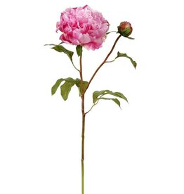 PEONY OPEN WITH BUD SH/ST S. 19.5'' Orchid