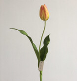 Dutch Tulip 22.5” - Gold