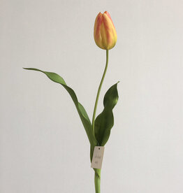 Dutch Tulip 22.5” - Gold