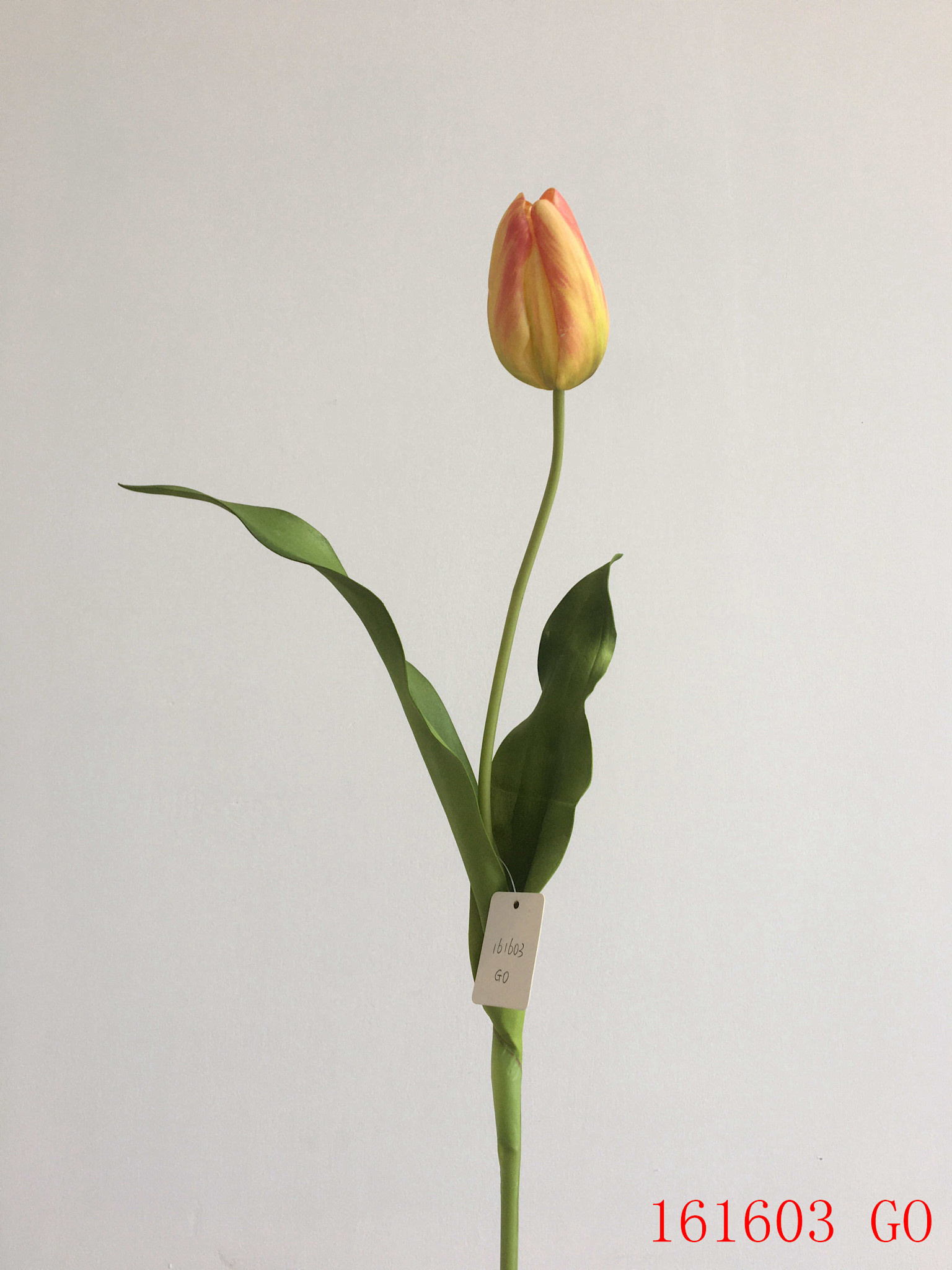Dutch Tulip 22.5” - Gold
