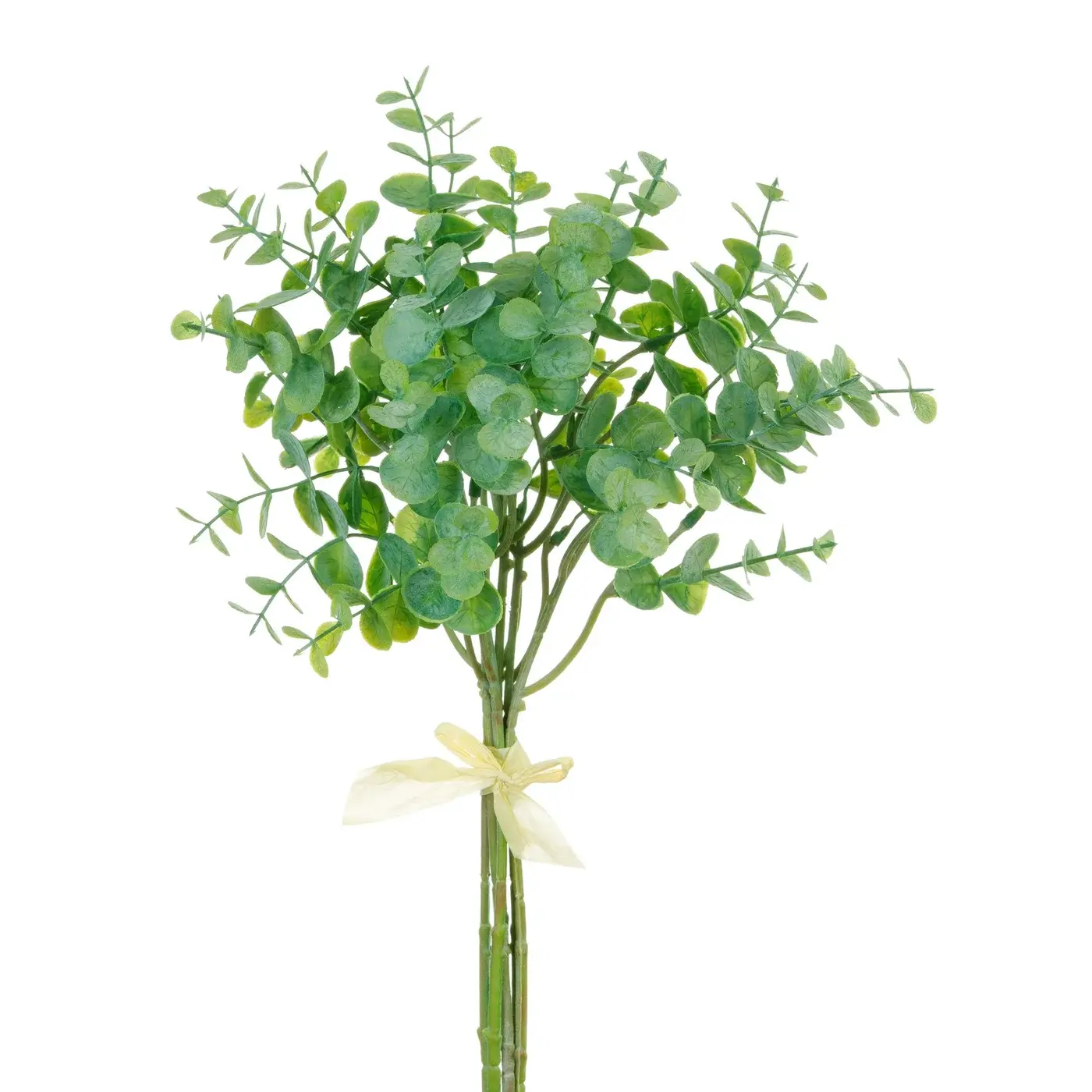 MINI EUCALYPTUS BUNDLE 14''