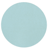 Soft Aqua Lizard Coaster