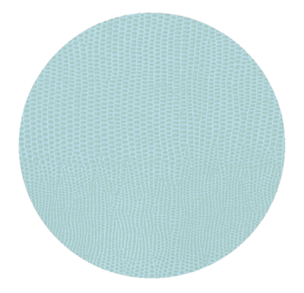 Soft Aqua Lizard Coaster