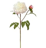 Peony Open w/Bud 19.5" (Cream)