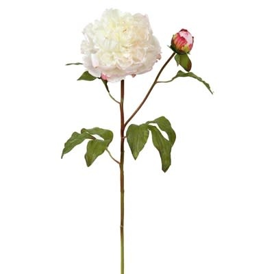 Peony Open w/Bud 19.5" (Cream)