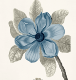 Bull Bay Magnolia - 32" x 27"