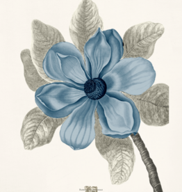 Bull Bay Magnolia - 32" x 27"