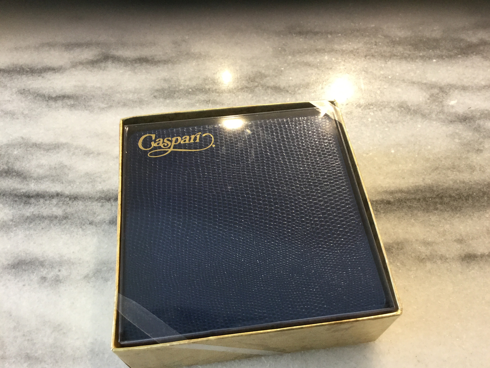 Navy Lizard Square  Coaster 8 In