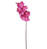 Phalaenopsis Orchid x7 33.5"