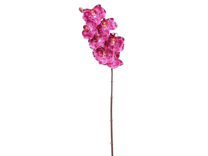 Phalaenopsis Orchid x7 33.5"