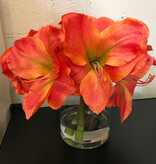 Amaryllis x3 in Faux Water (ORBU)