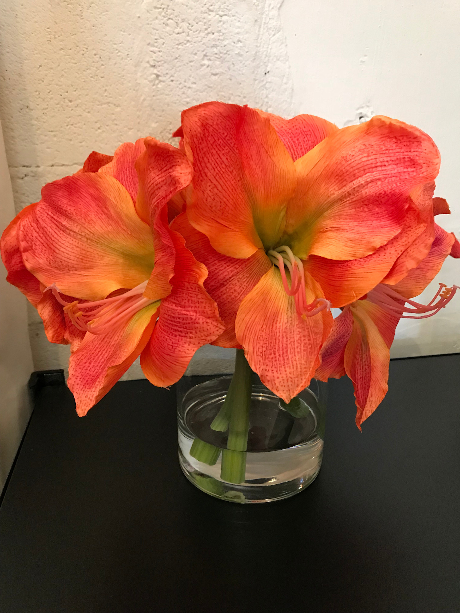Amaryllis x3 in Faux Water (ORBU)