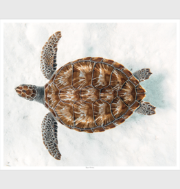 Sea Turtle - 42" x 36"