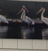 Pelican Reflections 22 x 60 Photography on Metal