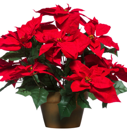 Large Red Poinsettia in 10" Standard Pot 27" H x 29"