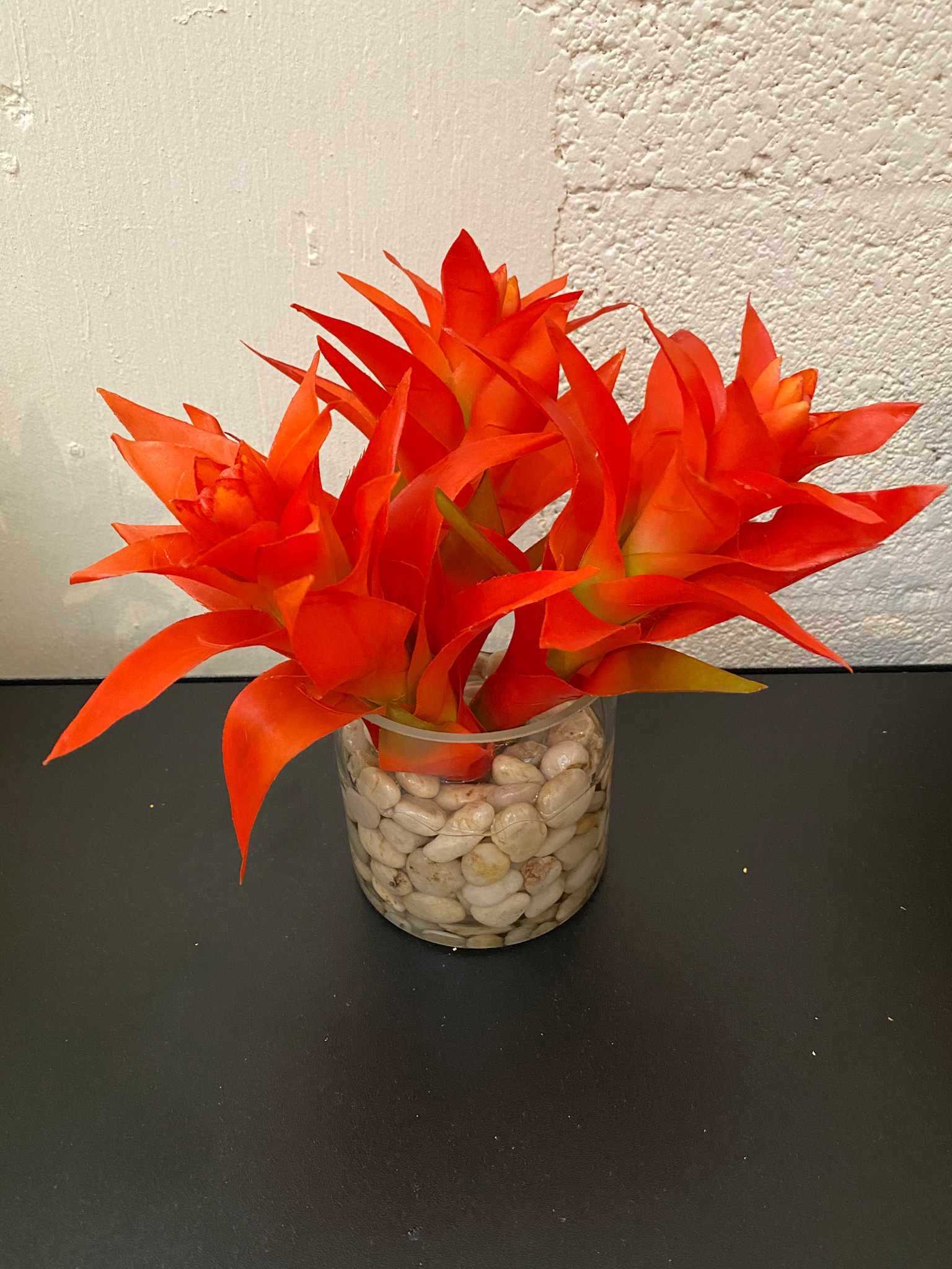 Star Bromeliads in 4" Cylinder-Faux Water/Stones (Orange)
