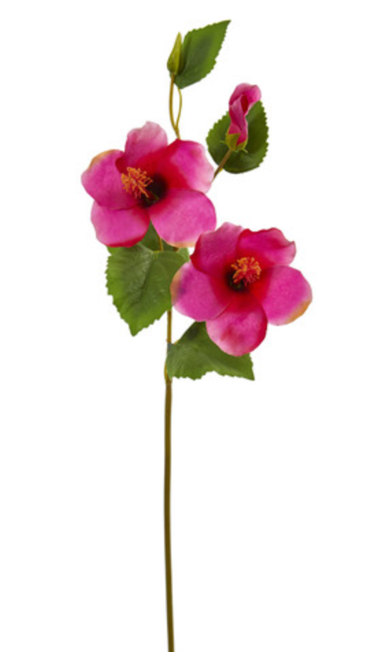 Hibiscus Flower - Orchid