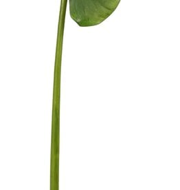 Calla Leaf Medium 41''